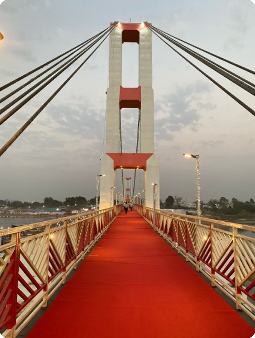 MULTI STRUCTURE BRIDGE AT RAJIM RAIPUR (C.G.)